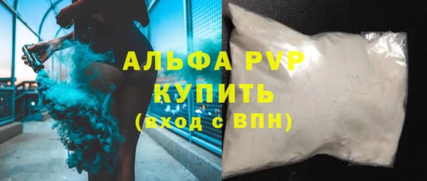 таблы Гусев