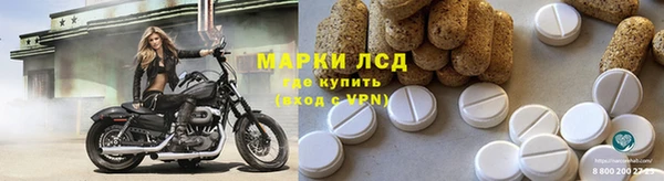 таблы Гусев