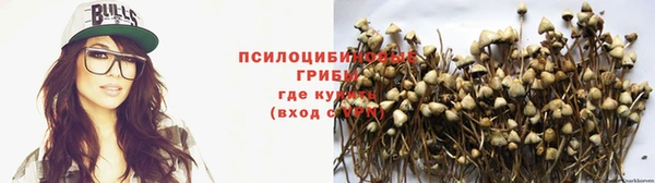 соль курить ск Гусиноозёрск