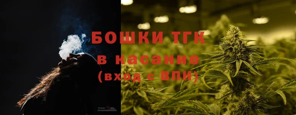 таблы Гусев