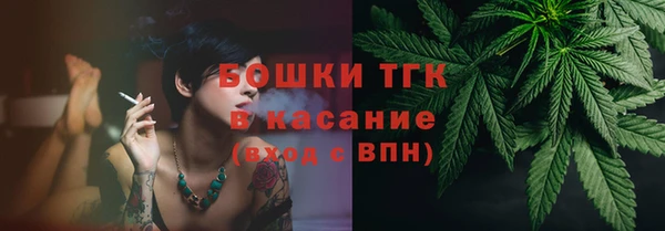 таблы Гусев