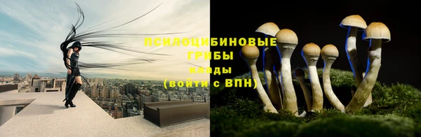 соль курить ск Гусиноозёрск
