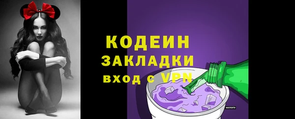 таблы Гусев