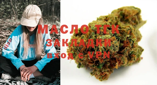 таблы Гусев