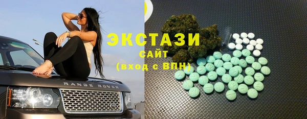 таблы Гусев