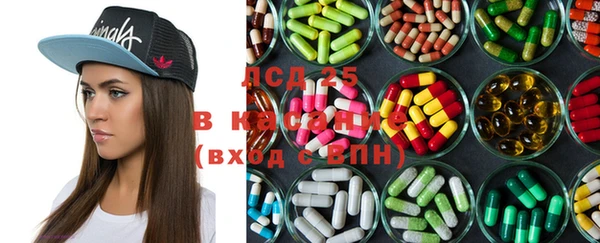 таблы Гусев